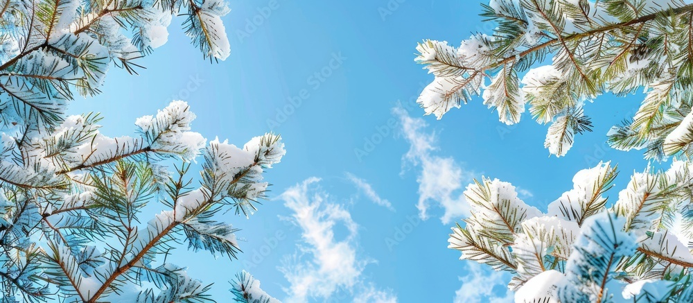 Poster a picturesque winter landscape featuring snow covered fir branches with a clear blue sky creating a 