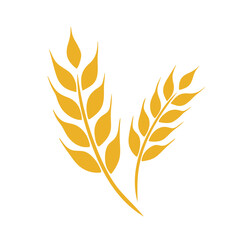 golden wheat ears flat vector