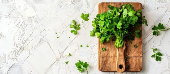 Rectangular cutting board adorned with parsley leaves on a white background featuring copy space image