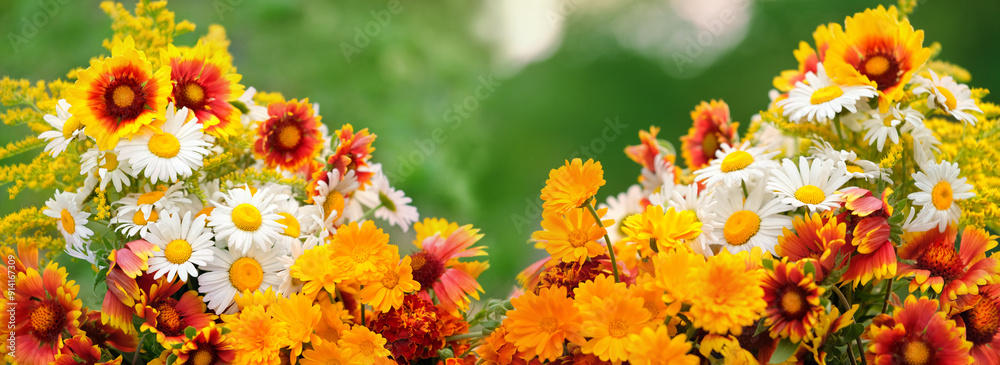 Wall mural summer floral background. bright colorful meadow flowers outdoor close up. flowers of calendula, cha