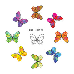 vector set of butterflies with various coloring examples