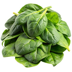 Obraz premium fresh spinach leaves