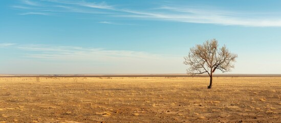 During the dry season the landscape is extremely arid with little water infertile soil and almost no plants leaving vast copy space image