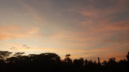Silhouetted Trees Against a Sunset Sky with Cirrus Clouds