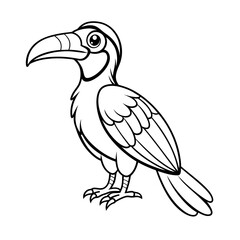 Hornbill Bird Vector Illustration - Cartoon, Clipart, and Line Art Design