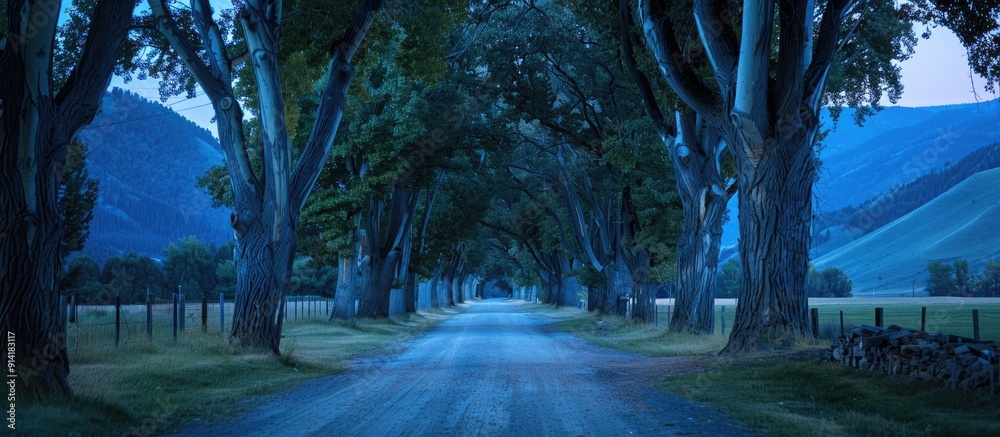 Canvas Prints Scenic mountain landscape with a tree lined avenue during the blue hour providing a captivating copy space image