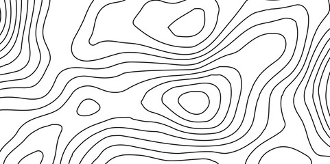 White background topography contour map with black curve lines, Modern design with White background with topographic,Vector geographic contour map