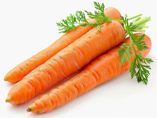 Freshly Harvested Organic Carrots With Green Tops Against a White Background