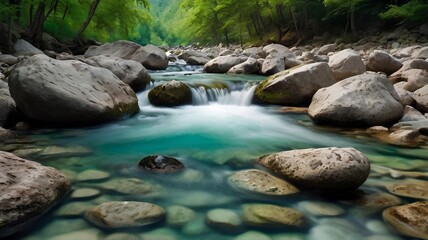 stream in the forest