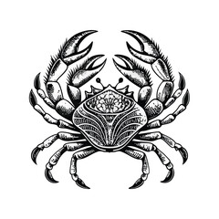 Old engraving style vector illustration