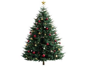 Fototapeta premium A Christmas tree isolated on white transparent background