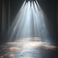 Dramatic Fashion Runway with Spotlights