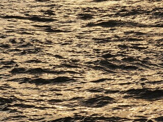 Golden Sunlight Reflecting on Rippling Water Surface/ Close-up of rippling water surface with golden sunlight reflections, creating a shimmering and textured pattern during sunset.

