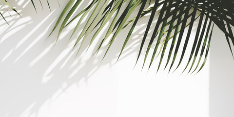 Obraz premium Białe gładkie tło pod baner, grafikę z napisami. Zielone rośliny, gałązki palmy i liście kwiatów. Widok z góry