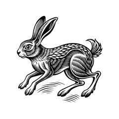 Old engraving style vector illustration