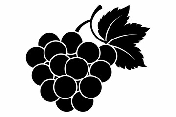 Grapes Silhouette Vector illustration on a white Background.