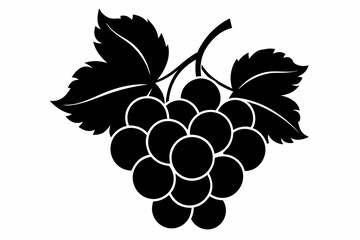 Grapes Silhouette Vector illustration on a white Background.