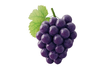 Close-up of a fresh purple grape bunch with a green leaf, perfect for illustrating fruits, fresh produce, and healthy eating concepts.