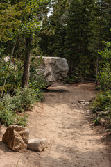 A sandy portion of the hiking trail within Rocky Mountain National Park, Colorado