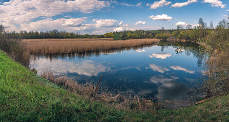 Spring evening landscape