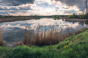 Obraz premium Spring evening landscape