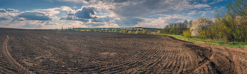 Spring evening landscape