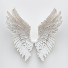 Fototapeta premium White Angel Wings on White Background.