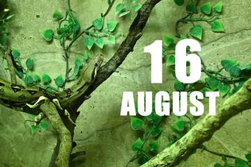 Calendar date on light green background with snake crawling on tree branch. August 16 is the sixteenth day of the month