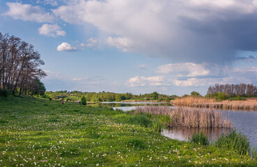 Summer landscape