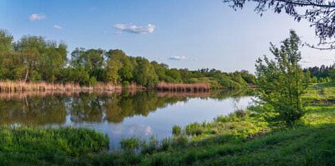 Fototapeta premium Summer landscape