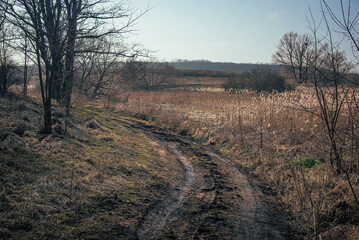 Spring evening landscape