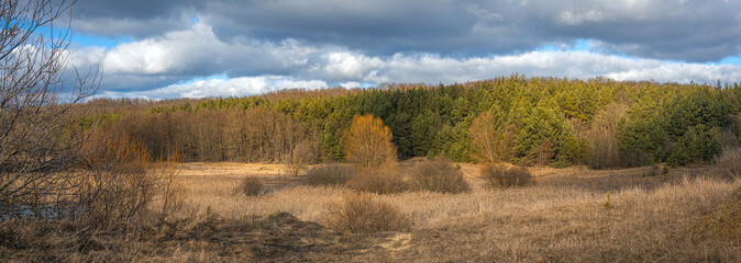 Spring evening landscape © ghostdom