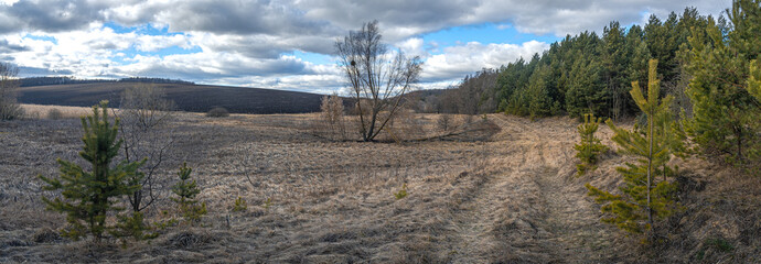 Spring evening landscape © ghostdom