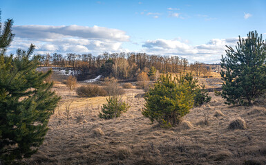 Spring evening landscape