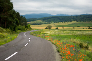 A curving road meanders through a verdant landscape dotted with bright orange flowers under an...