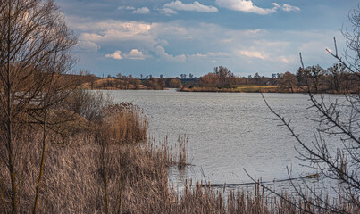 Spring evening landscape