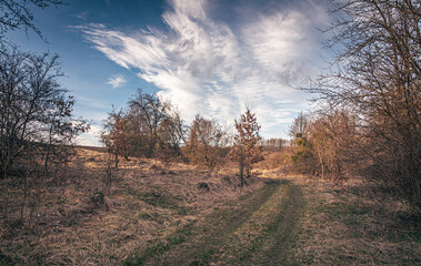 Spring evening landscape