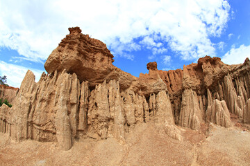 Fototapeta premium Beautiful weird looking natural structures of Kok Sua (Tiger’s Den) in Sri nan National Park, Nan Province, Thailand 