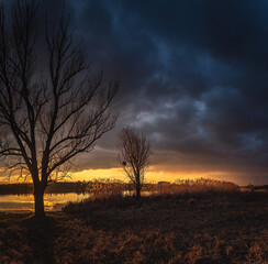 Spring evening landscape