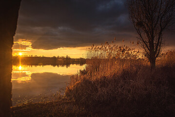 Obraz premium Spring evening landscape