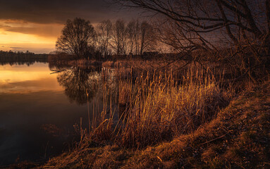 Spring evening landscape