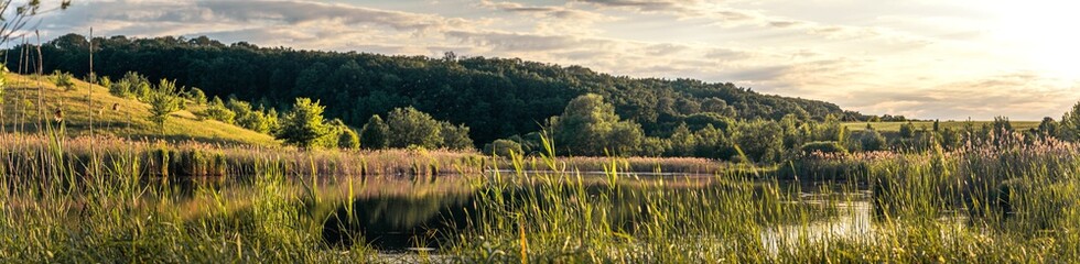 Summer evening landscape © ghostdom