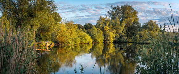 Summer evening landscape