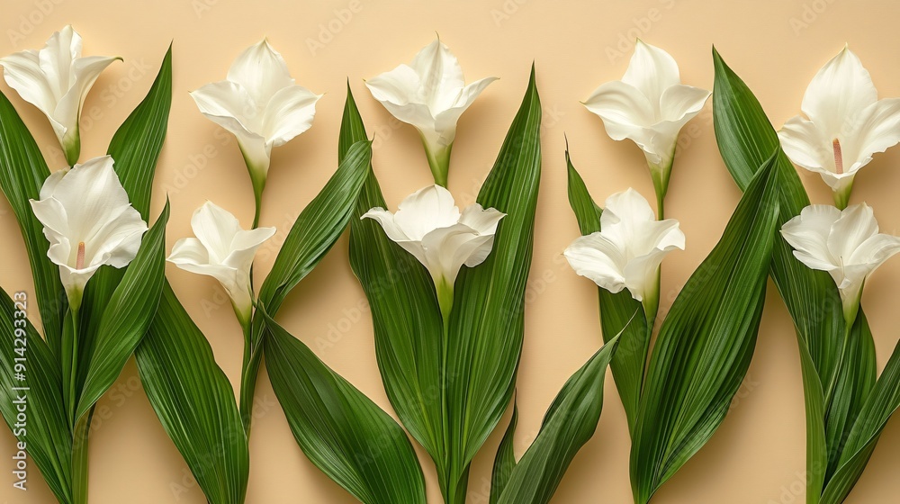 Poster Pastel-toned flat lay of leaves and flowers arranged in a minimalistic style with high detail and clean lines for a sophisticated look Stock Photo with copy space