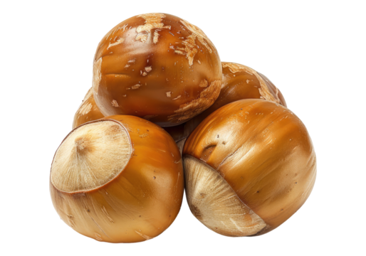 Beech nuts isolated on transparent background. Transparent PNG.