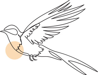 Free-Flying Beautiful Bird Line Art