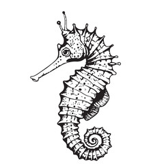 Vector seahorse black and white illustration. Tropical underwater animal from oceans and seas. Hippocampus fish monochrome sketch for marine nautical prints © BigJoy