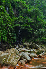 A Gentle Cascade Through the Forest