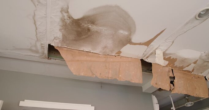 Ceiling panels with fungus outside house from water pipes damaged or rainy leaked. Office building or house problem for house service.