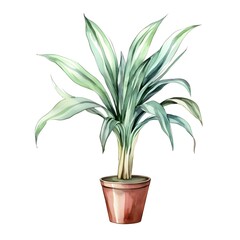 Fototapeta premium Vibrant Watercolor of Dracaena Houseplant in Pot